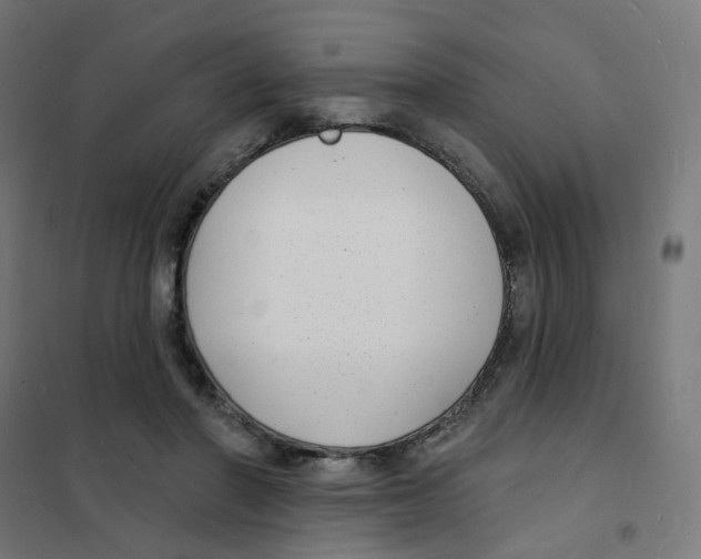 X0000101700406200808071204