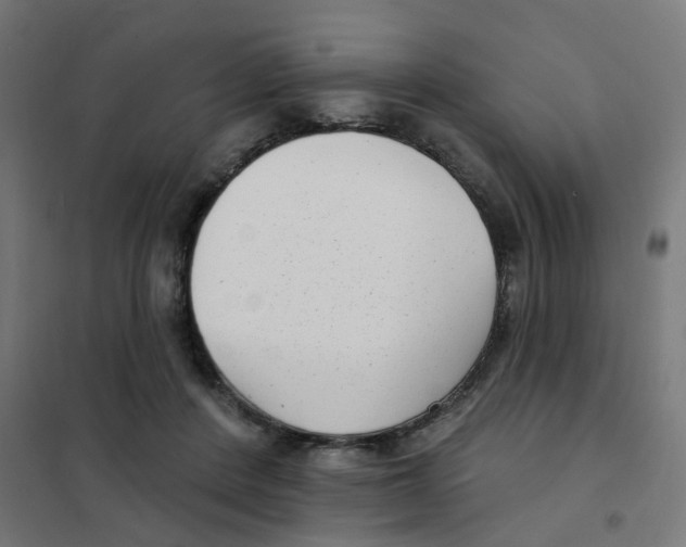 X0000101700408200808071204