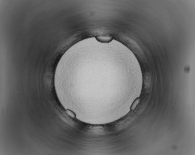 X0000101700409200808071204