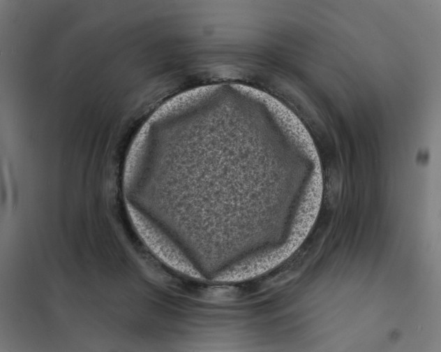 X0000101700410200808071204