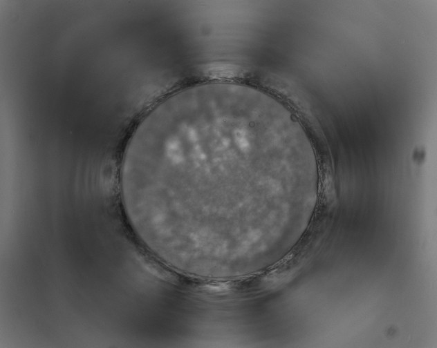 X0000101700411200808071204