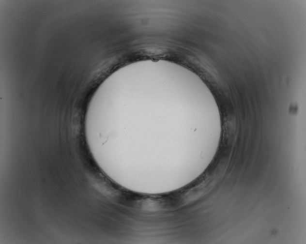 X0000101700412200808071204