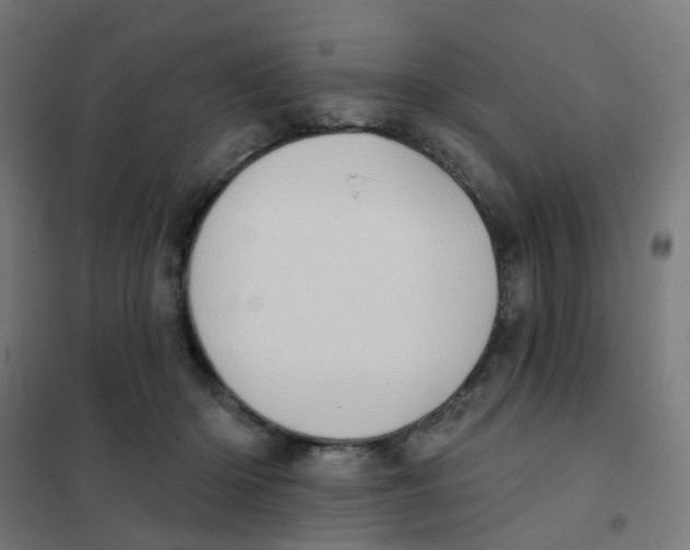 X0000101700414200808071204
