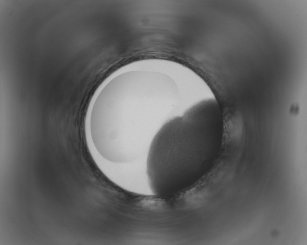 X0000101700415200808071204