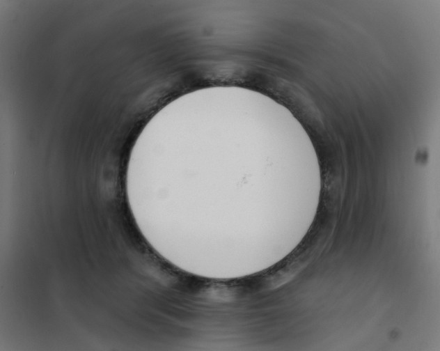 X0000101700416200808071204