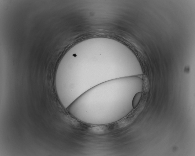 X0000101700417200808071204