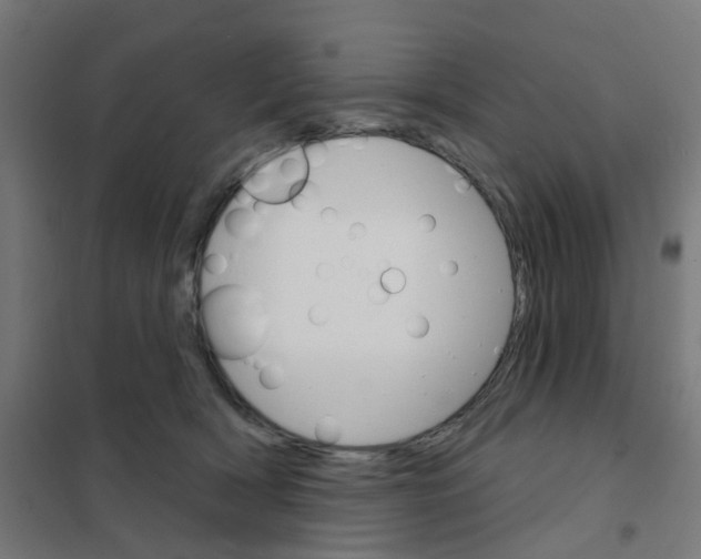 X0000101700418200808071204