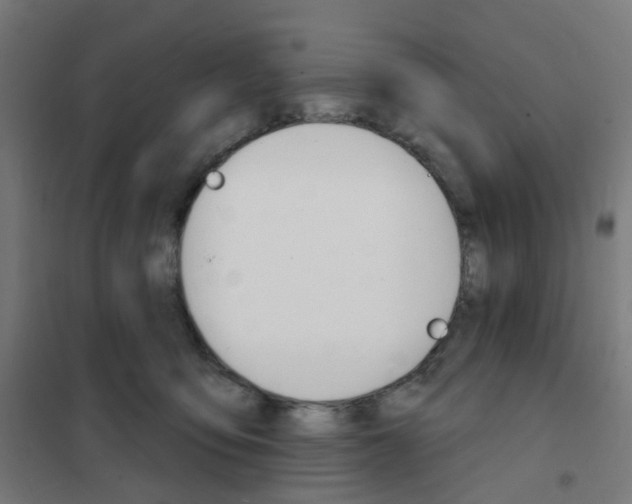 X0000101700419200808071204