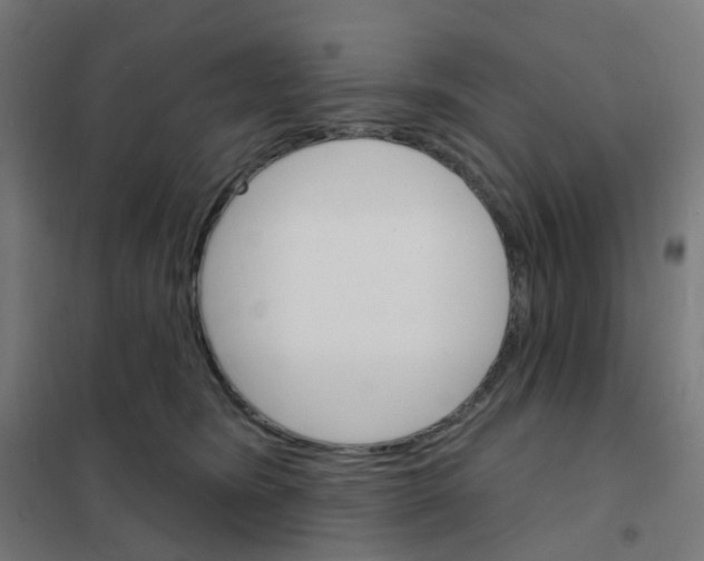 X0000101700420200808071204