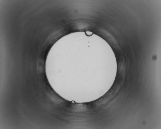 X0000101700421200808071203