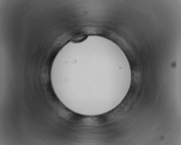 X0000101700422200808071203