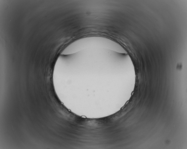 X0000101700423200808071203