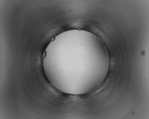 X0000101700424200808071203