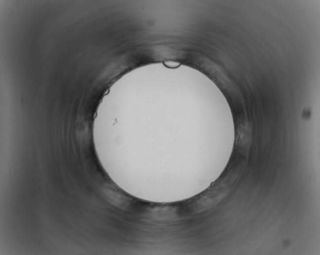X0000101700426200808071203