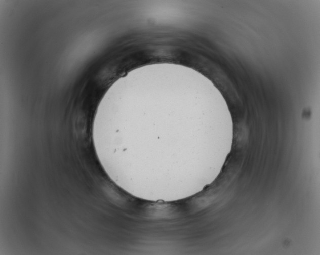 X0000101700428200808071203