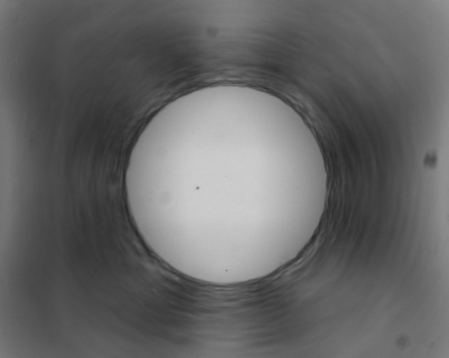 X0000101700429200808071203