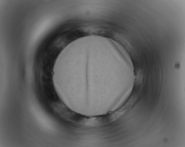 X0000101700430200808071203