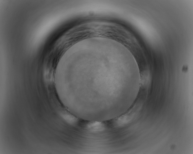 X0000101700431200808071203