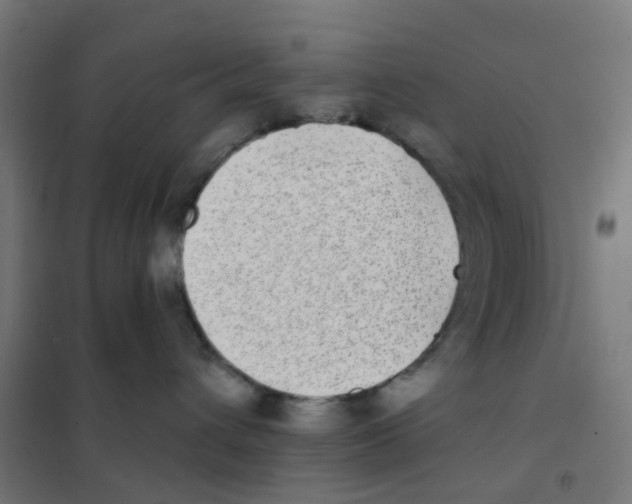 X0000101700432200808071203