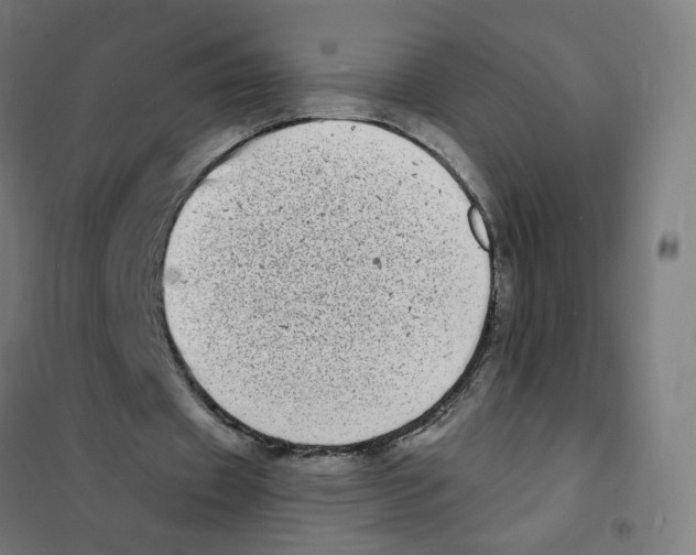 X0000101700433200808071203