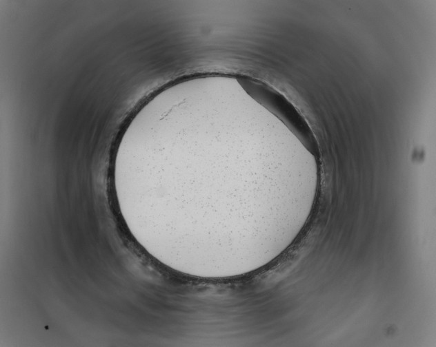 X0000101700434200808071203