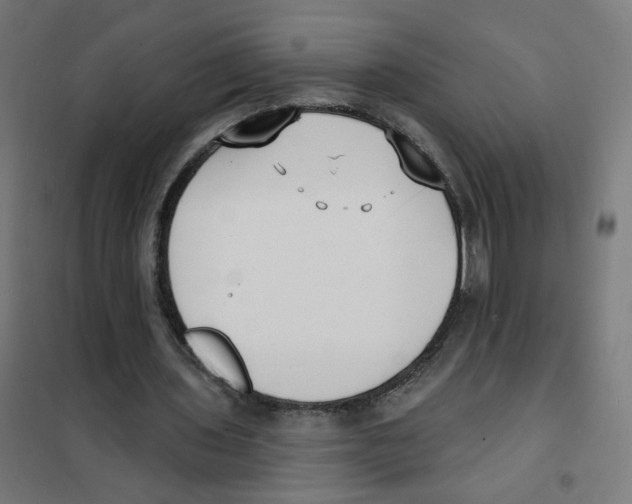 X0000101700435200808071203