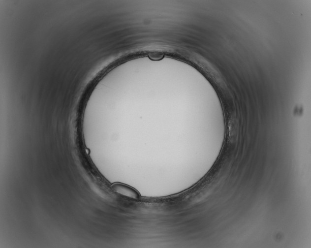 X0000101700436200808071203