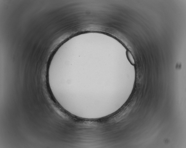 X0000101700437200808071203
