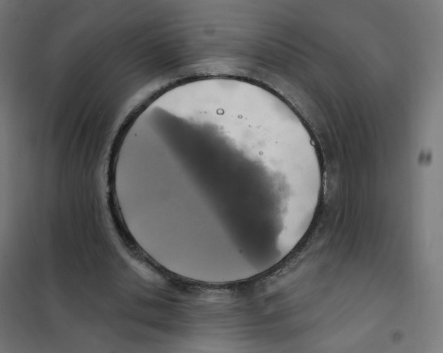 X0000101700438200808071203