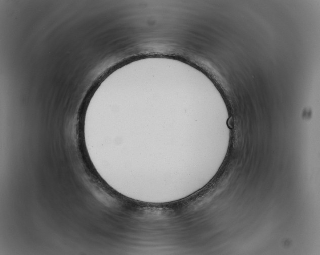 X0000101700439200808071203