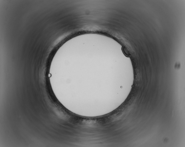X0000101700440200808071203