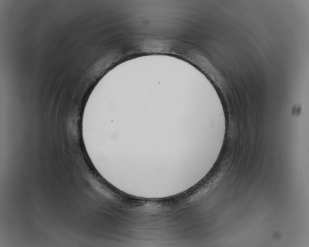 X0000101700441200808071203