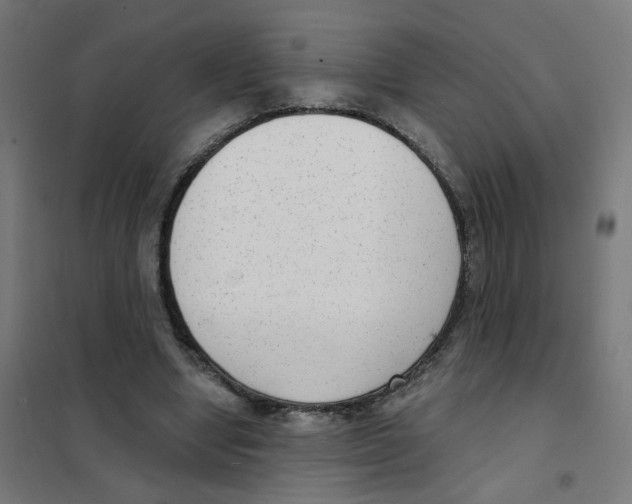 X0000101700442200808071203