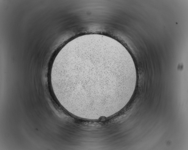 X0000101700443200808071203