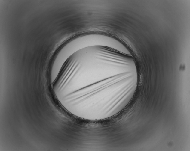 X0000101700444200808071203