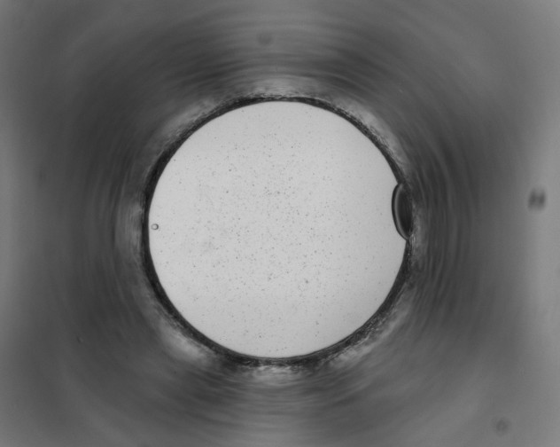 X0000101700445200808071203