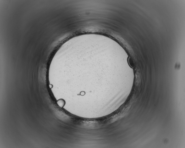 X0000101700446200808071203