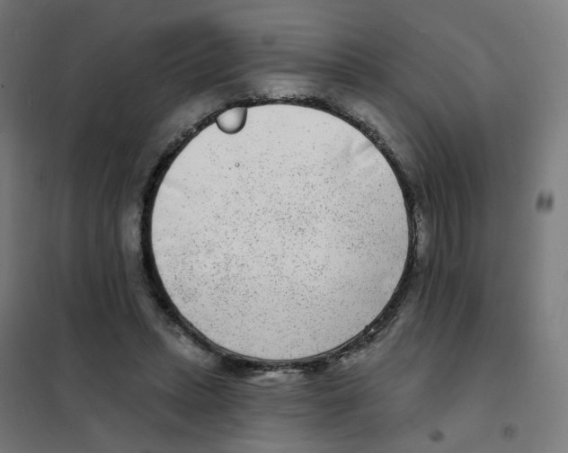 X0000101700447200808071203