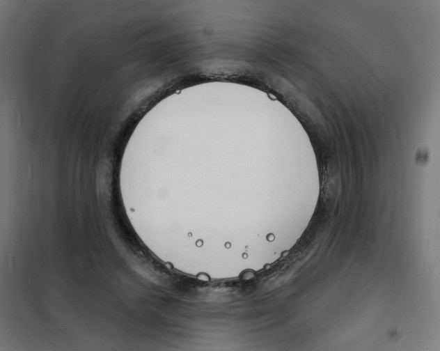 X0000101700448200808071203