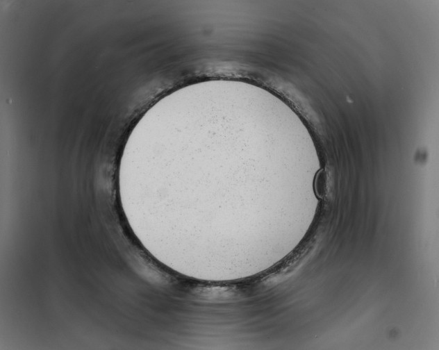X0000101700449200808071203