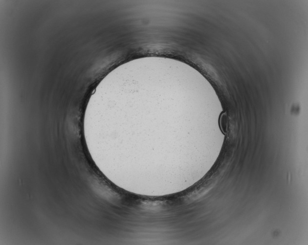 X0000101700450200808071203