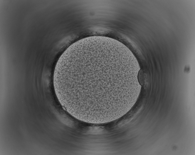 X0000101700451200808071203