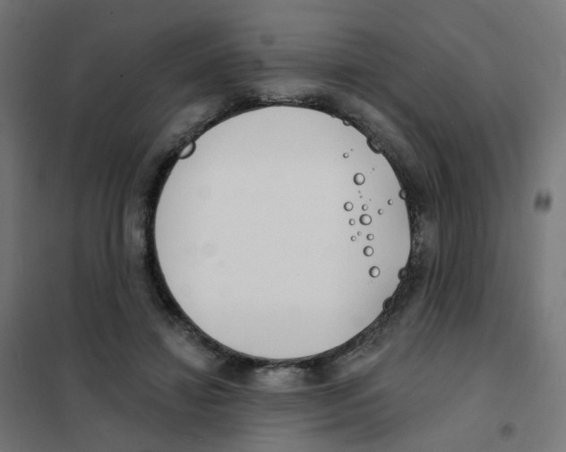 X0000101700452200808071203