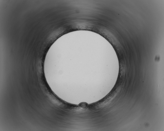 X0000101700453200808071203