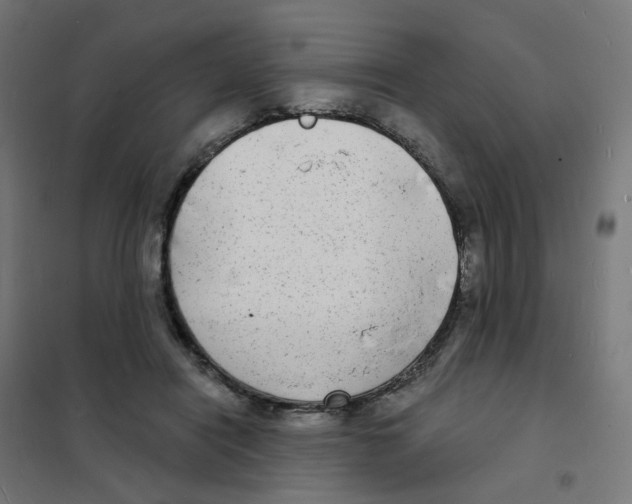 X0000101700454200808071203