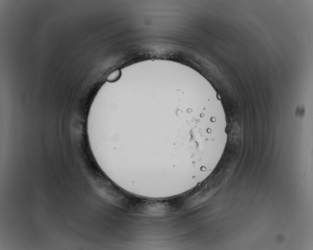 X0000101700456200808071203