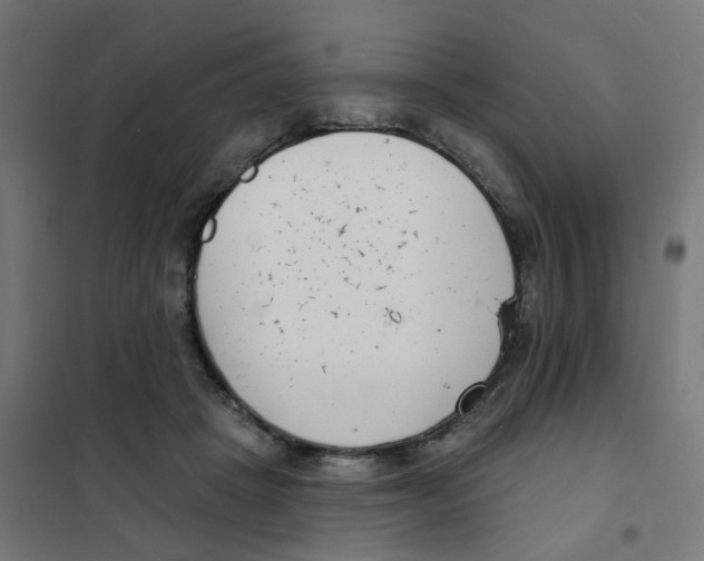 X0000101700457200808071203