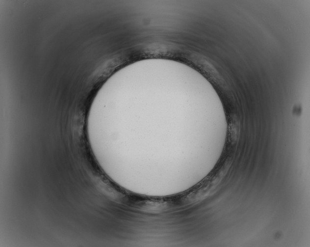 X0000101700458200808071203