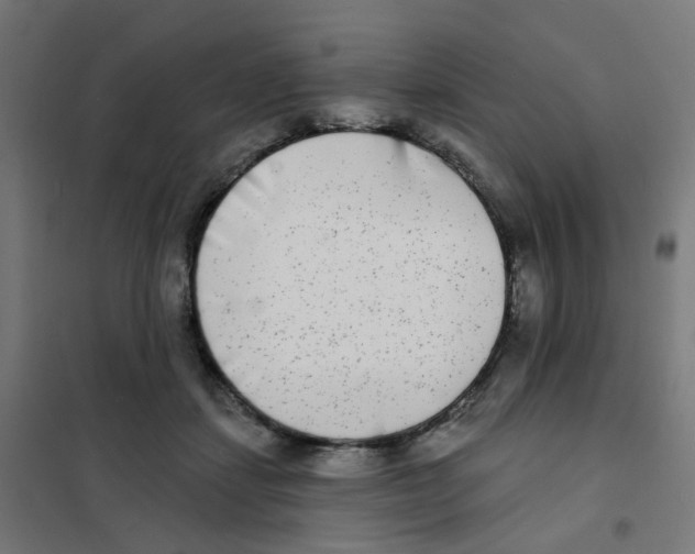 X0000101700459200808071203