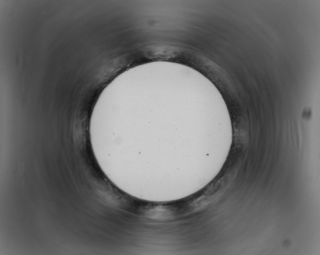 X0000101700460200808071203